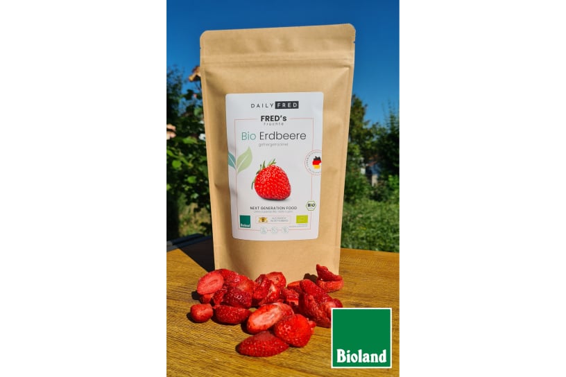 Bauernmakt Karlsruhe Daily Fred